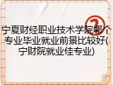 宁夏财经职业技术学院哪个专业毕业就业前景比较好(宁财院就业佳专业)