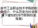 毕节工业职业技术学院的校史简介，什么历史与社会背景下建校的(毕节职院校史背景)