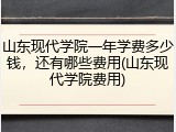 山东现代学院一年学费多少钱，还有哪些费用(山东现代学院费用)