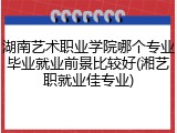 湖南艺术职业学院哪个专业毕业就业前景比较好(湘艺职就业佳专业)