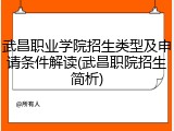 武昌职业学院招生类型及申请条件解读(武昌职院招生简析)