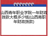 山西青年职业学院一年财政拨款大概多少钱(山西青职年财政拨款)