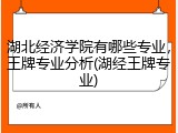 湖北经济学院有哪些专业，王牌专业分析(湖经王牌专业)