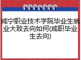 咸宁职业技术学院毕业生就业大致去向如何(咸职毕业生去向)
