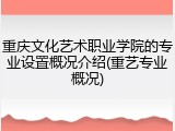 重庆文化艺术职业学院的专业设置概况介绍(重艺专业概况)