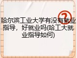 哈尔滨工业大学有没有就业指导，好就业吗(哈工大就业指导如何)
