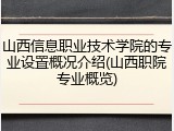 山西信息职业技术学院的专业设置概况介绍(山西职院专业概览)