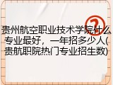 贵州航空职业技术学院什么专业最好，一年招多少人(贵航职院热门专业招生数)