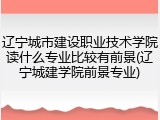 辽宁城市建设职业技术学院读什么专业比较有前景(辽宁城建学院前景专业)