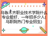 乌鲁木齐职业技术学院什么专业最好，一年招多少人(乌职院热门专业招生)