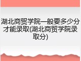 湖北商贸学院一般要多少分才能录取(湖北商贸学院录取分)