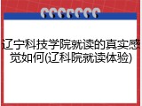 辽宁科技学院就读的真实感觉如何(辽科院就读体验)
