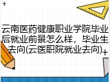 云南医药健康职业学院毕业后就业前景怎么样，毕业生去向(云医职院就业去向)