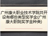 广州康大职业技术学院共开设有哪些类型奖学金(广州康大职院奖学金种类)
