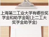 上海第二工业大学有哪些奖学金和助学金呢(上二工大奖学金助学金)
