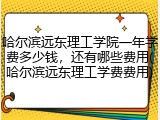 哈尔滨远东理工学院一年学费多少钱，还有哪些费用(哈尔滨远东理工学费费用)