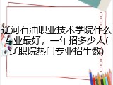 辽河石油职业技术学院什么专业最好，一年招多少人(辽职院热门专业招生数)