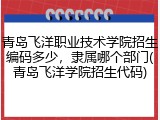 青岛飞洋职业技术学院招生编码多少，隶属哪个部门(青岛飞洋学院招生代码)