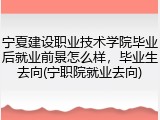 宁夏建设职业技术学院毕业后就业前景怎么样，毕业生去向(宁职院就业去向)