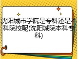 沈阳城市学院是专科还是本科院校呢(沈阳城院本科专科)
