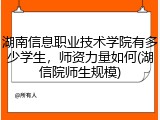 湖南信息职业技术学院有多少学生，师资力量如何(湖信院师生规模)