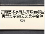 云南艺术学院共开设有哪些类型奖学金(云艺奖学金种类)
