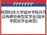 陕西科技大学镐京学院共开设有哪些类型奖学金(镐京学院奖学金类型)