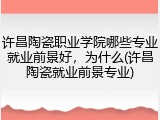 许昌陶瓷职业学院哪些专业就业前景好，为什么(许昌陶瓷就业前景专业)