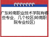 广东岭南职业技术学院有哪些专业，几个校区(岭南职院专业校区)