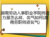 湖南劳动人事职业学院师资力量怎么样，名气如何(湖南劳职师资名气)
