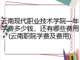云南现代职业技术学院一年学费多少钱，还有哪些费用(云南职院学费及费用)
