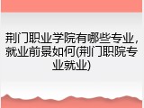 荆门职业学院有哪些专业，就业前景如何(荆门职院专业就业)