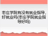 枣庄学院有没有就业指导，好就业吗(枣庄学院就业指导好吗)