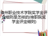 宿州职业技术学院奖学金评定细则是怎样的(宿职院奖学金评定细则)