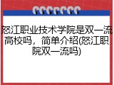 怒江职业技术学院是双一流高校吗，简单介绍(怒江职院双一流吗)