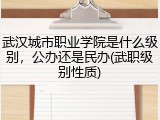武汉城市职业学院是什么级别，公办还是民办(武职级别性质)