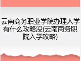 云南商务职业学院办理入学有什么攻略没(云南商务职院入学攻略)