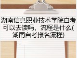 湖南信息职业技术学院自考可以去读吗，流程是什么(湖南自考报名流程)