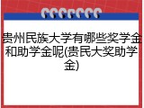 贵州民族大学有哪些奖学金和助学金呢(贵民大奖助学金)
