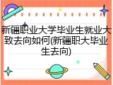 新疆职业大学毕业生就业大致去向如何(新疆职大毕业生去向)