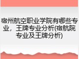 宿州航空职业学院有哪些专业，王牌专业分析(宿航院专业及王牌分析)