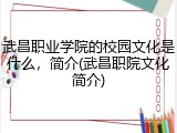 武昌职业学院的校园文化是什么，简介(武昌职院文化简介)