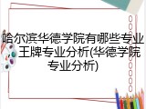 哈尔滨华德学院有哪些专业，王牌专业分析(华德学院专业分析)