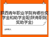 陕西青年职业学院有哪些奖学金和助学金呢(陕青职院奖助学金)