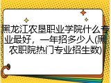 黑龙江农垦职业学院什么专业最好，一年招多少人(黑农职院热门专业招生数)