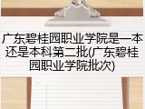 广东碧桂园职业学院是一本还是本科第二批(广东碧桂园职业学院批次)