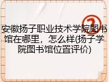 安徽扬子职业技术学院图书馆在哪里，怎么样(扬子学院图书馆位置评价)