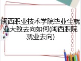 闽西职业技术学院毕业生就业大致去向如何(闽西职院就业去向)
