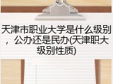 天津市职业大学是什么级别，公办还是民办(天津职大级别性质)