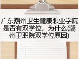 广东潮州卫生健康职业学院是否有双学位，为什么(潮州卫职院双学位原因)